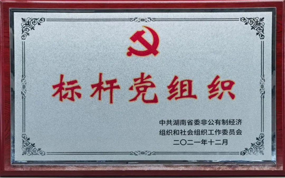 党建品牌亮起来！SG胜游智能党委获评“标杆党组织”